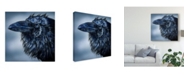 Trademark Global Patrick Lamontagne Blue Beak Raven Canvas Art - 20" x 25"